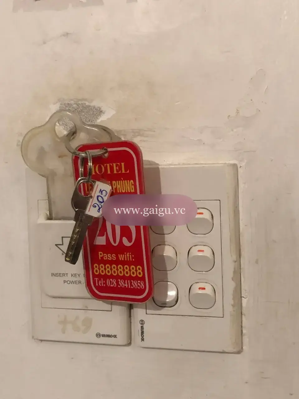 Ảnh đánh giá gái gọi