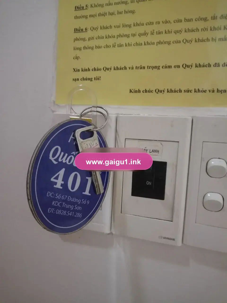 Ảnh đánh giá gái gọi
