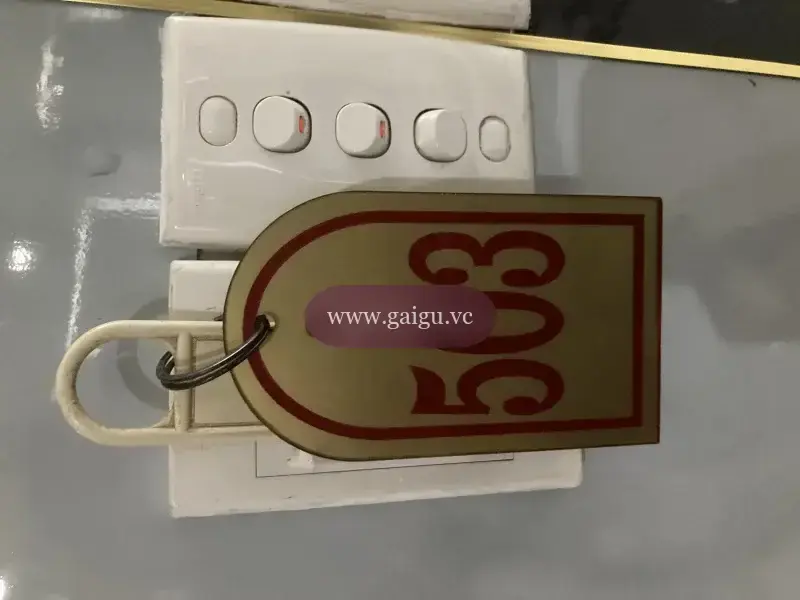 Ảnh đánh giá gái gọi