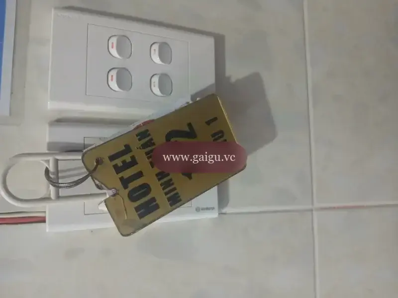 Ảnh đánh giá gái gọi