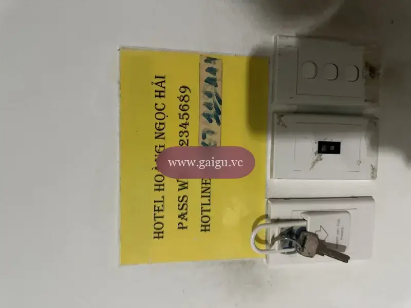 Ảnh đánh giá gái gọi