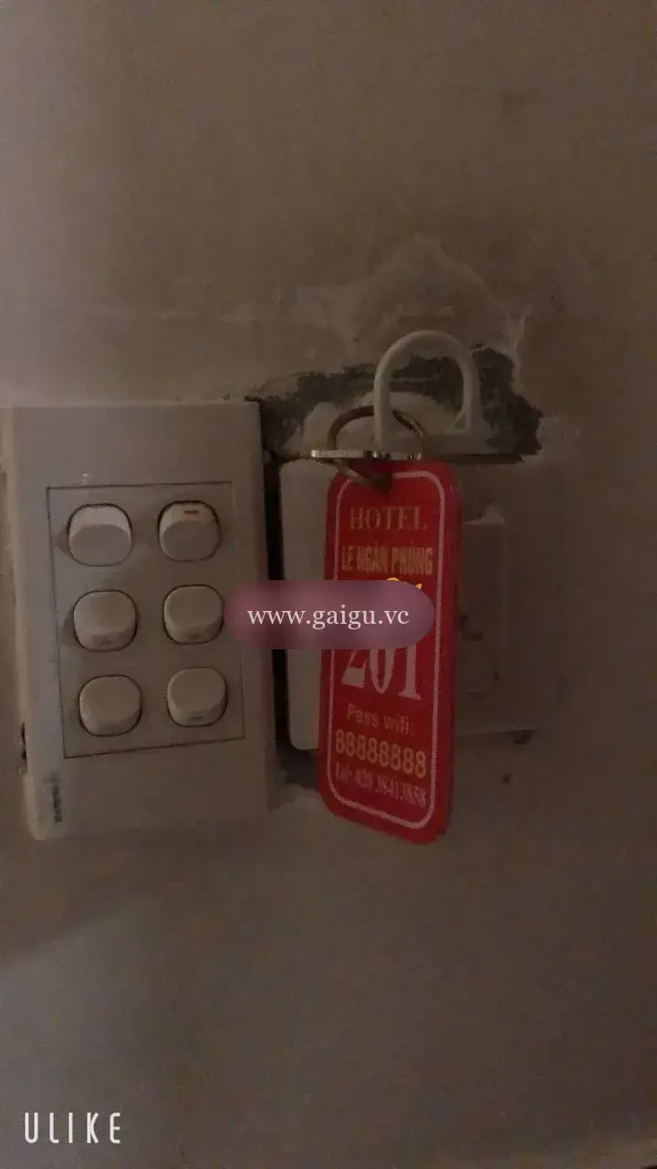 Ảnh đánh giá gái gọi